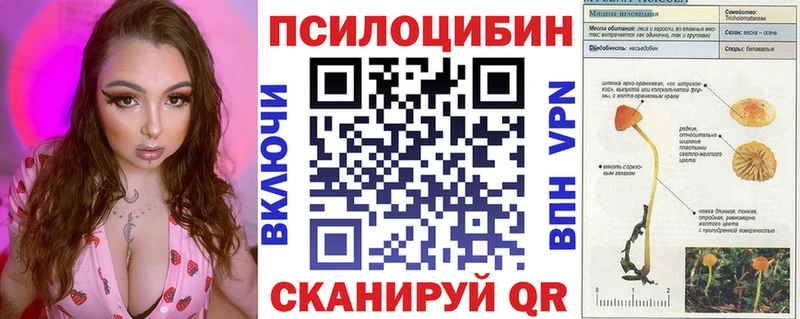 mega tor  Саяногорск  Галлюциногенные грибы Cubensis 