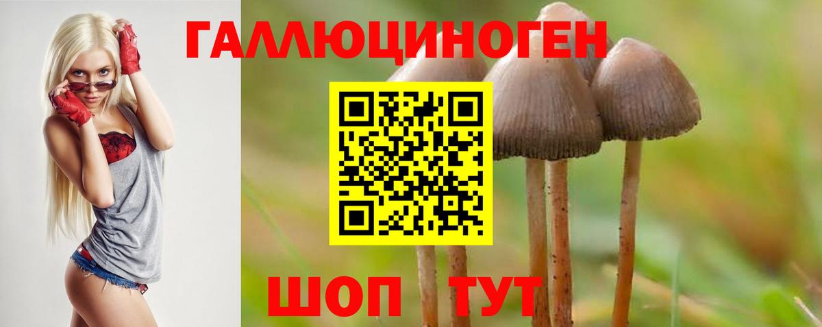 Саяногорск  наркошоп  Вход с VPN  Псилоцибиновые грибы Psilocybe  Галлюциногенные грибы мицелий 